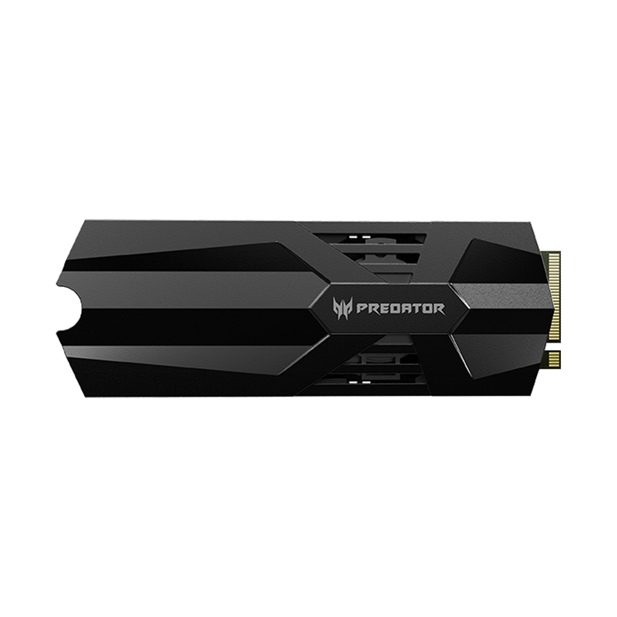 SSD Predator GM9000HS BL.9BWWR.139 - vista frontal