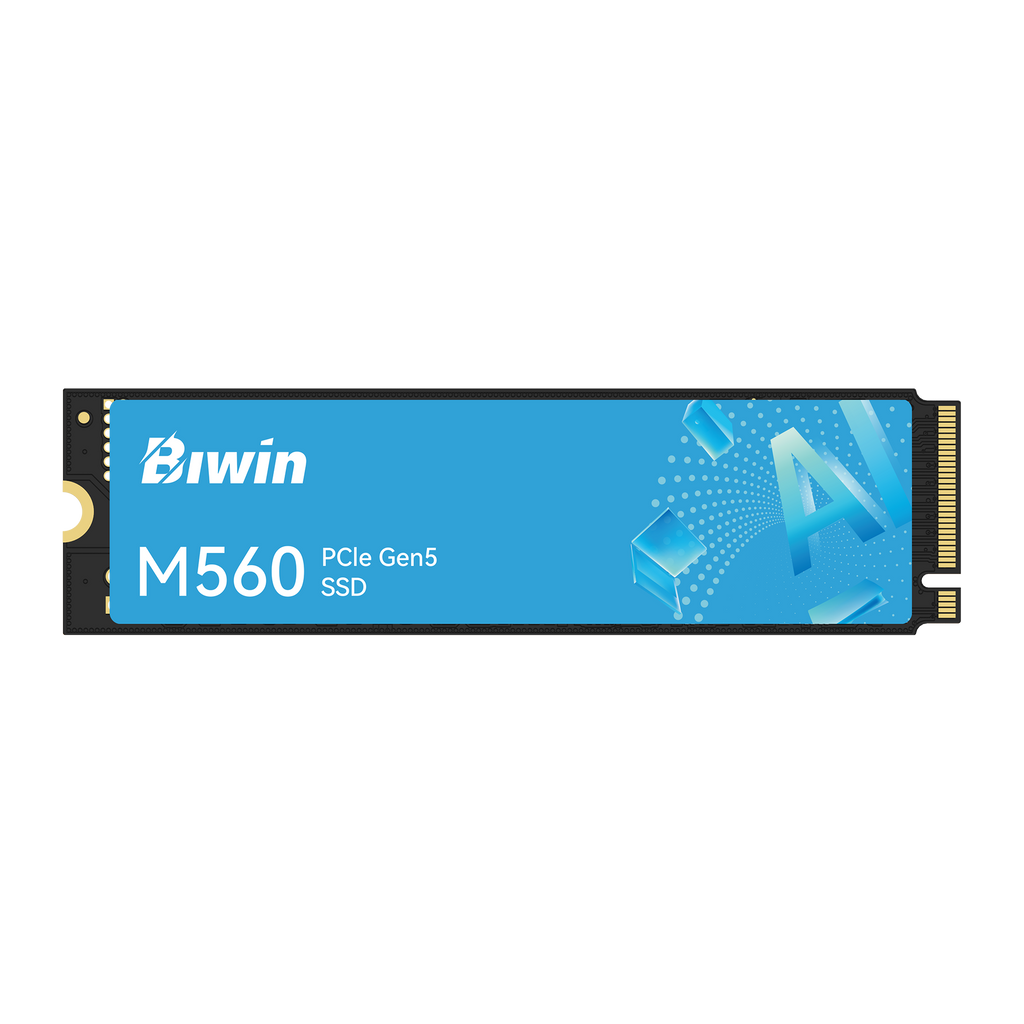 UNIDAD SSD BIWIN M560 BM560NN01TB-RGX 1TB PCIE 5.0