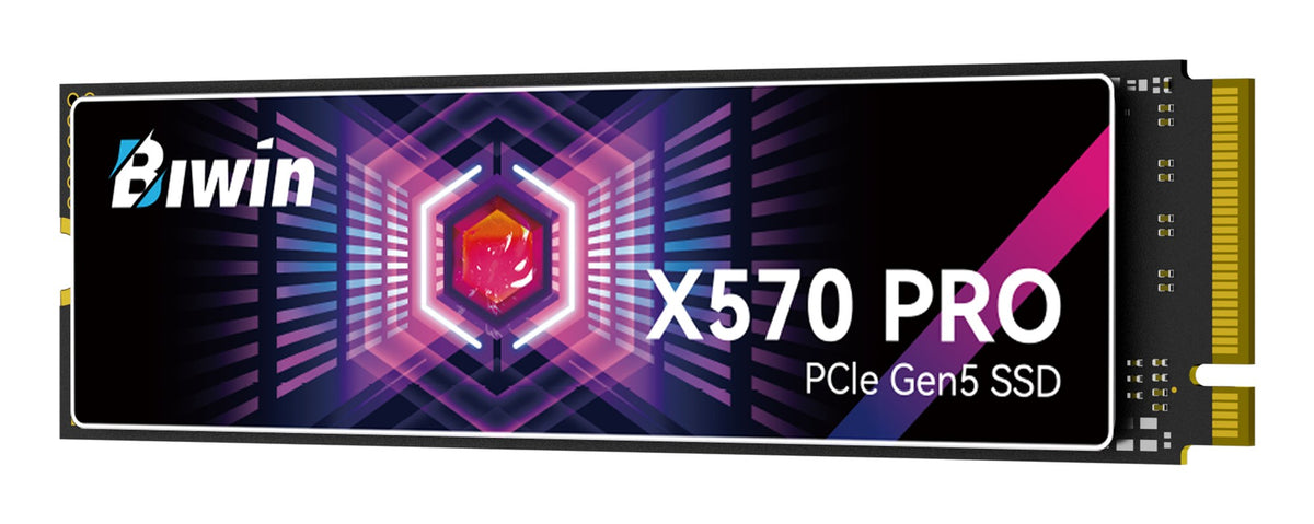 UNIDAD SSD M.2 BIWIN 1TB + 1GB DRAM (BX570DN01TB-RGX) X570 PRO, PCIE 5.0, NVME, 2280 HASTA