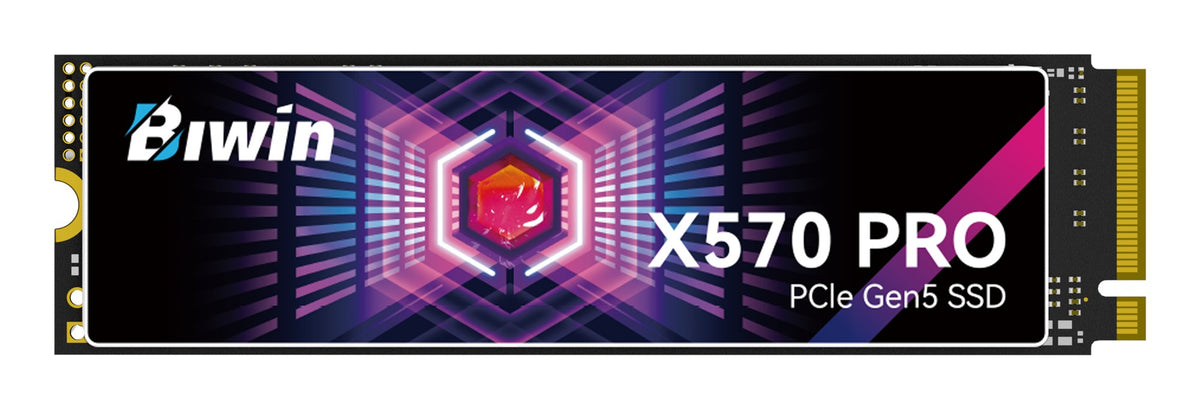 UNIDAD SSD M.2 BIWIN 1TB + 1GB DRAM (BX570DN01TB-RGX) X570 PRO, PCIE 5.0, NVME, 2280 HASTA